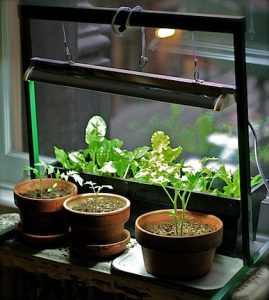 Indoor Grow Light Reflector Hood