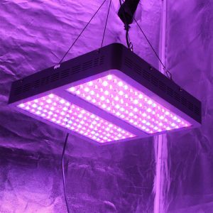 Indoor Grow Light Reflector Hood