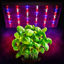 LED Grow Light Review