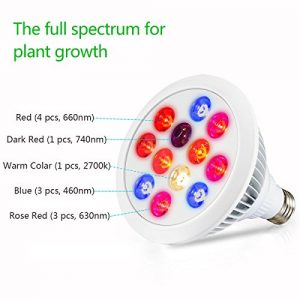cheap Grow Light For Indoor
