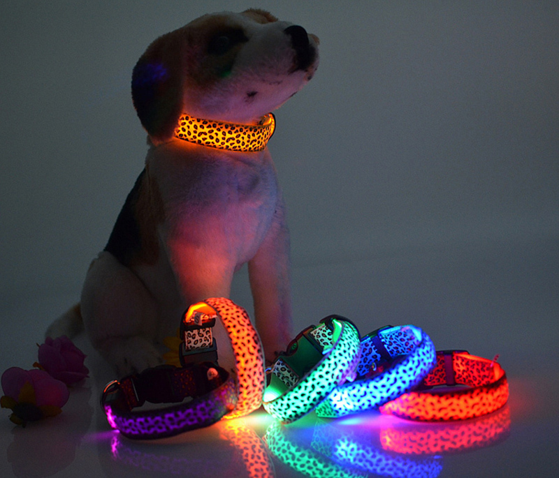 LED light Dog Collar